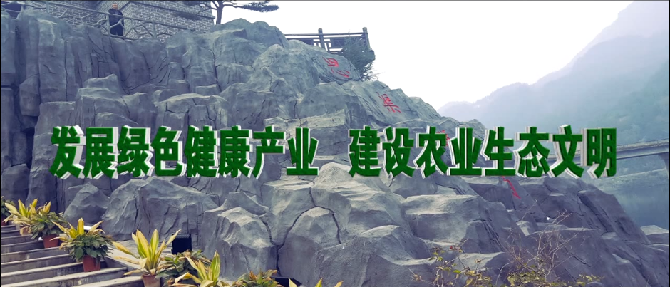 &#70;&#71;&#30005;&#23376;&#40;&#20013;&#22269;&#28216;&#41;&#23448;&#26041;&#32593;&#31449;