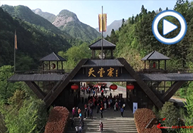 &#70;&#71;&#30005;&#23376;&#40;&#20013;&#22269;&#28216;&#41;&#23448;&#26041;&#32593;&#31449;